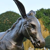 Close up of Donkey"s face with reins  Close up of Donkey"s face with reins