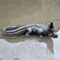 Antique Bronze Baby Alligator Sculpture 