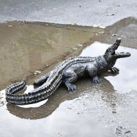 Sculpture of baby alligator 