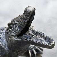 Close up of alligator head with teeth 