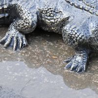 Close up of highly detailed feet 