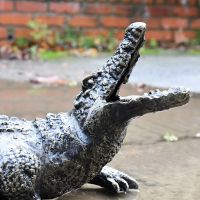 Side profile of baby alligator sculpture 