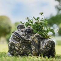 Antique Gold Bullfrog Planter 