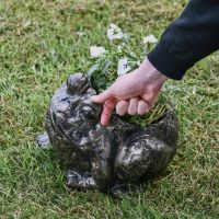 Back of Bullfrog Planter with Plant 