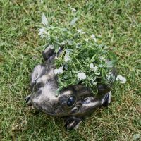 Antique Gold Toad Planter with Plants  Antique Gold Toad Planter with Plants