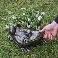 Antique Gold Toad Planter with Hand for Scale  Antique Gold Toad Planter with Hand for Scale