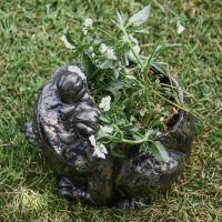 Bullfrog Planter with Plants 