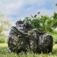 Antique Gold Bullfrog Planter 