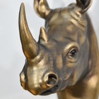 Close up of Rhino Hook  Close up of Rhino Hook