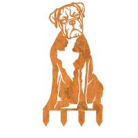 Rustic Boxer Silhouette with Ground Spikes