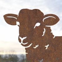 Close up of face on rustic curly lamb silhouette 