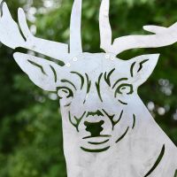 Silver Fallow Stag Silhouette close up of face Silver Fallow Stag Silhouette close up of face