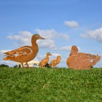 Rustic Family of Ducks Silhouette in Situ in the Garden