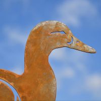 Close-up of the Rustic Finish on the Mallard Duck Silhouette Close-up of the Rustic Finish on the Mallard Duck Silhouette