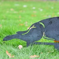 Image of rear view of Staffordshire Image of rear view of Staffordshire