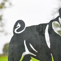 Close up of pug tail Close up of pug tail