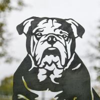 Close up of Head on English Bulldog Silhouette 