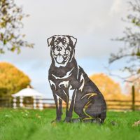 Rottweiler Silhouette in Situ in a Field