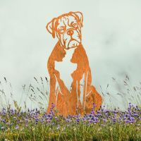 Rustic Boxer Silhouette in Lavender Field