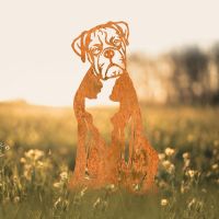 Rustic Boxer Silhouette in Garden Setting 