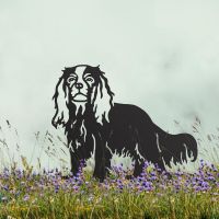Black Cavalier King Charles Spaniel Silhouette in Field 