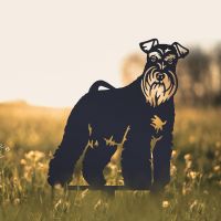 Black Mini Schnauzer Silhouette in Garden 