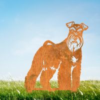 Rustic Miniature Schnauzer Silhouette in Garden 