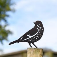Thrush Fence Topper in Situ Outside