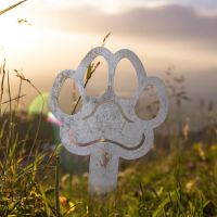Paw Print Grave Marker Ground Spike in Natural Steel Finish in Situ Paw Print Grave Marker Ground Spike in Natural Steel Finish in Situ