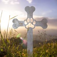 Unfinished Paw Print on Dog Bone Cross Grave Marker Ground Spike in Situ