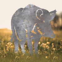 Wild Boar Sheet Steel Silhouette in Natural Steel Finish in Situ