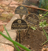 VEGETABLE SIGNS - CAULIFLOWER