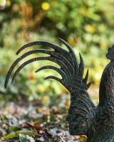 Close up of Verdigris Rooster tail Close up of Verdigris Rooster tail