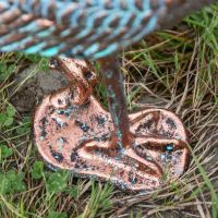 Close-Up of Integral Base Close-Up of Integral Base