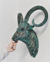 Mouflon Wall Bust to Scale