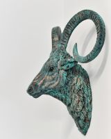 View of the Side of the Mouflon Wall Bust