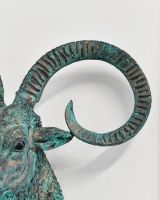 Close-up of the Horns on the Top of the Mouflon Wall Bust