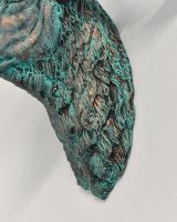 Close-up of the Detail of the Furon the Neck of the Mouflon Wall Bust