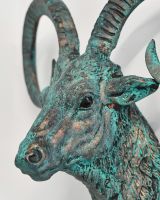 Close-up of the Detail on the Mouflon Wall Bust