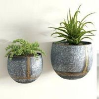 Wall Mounted Brass & Steel Wall Planters