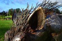 "Hakuna" Warthog Iron Garden Statue