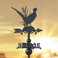 Pheasant on Miniature Weathervane at Sunset