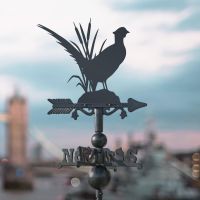 Pheasant on Miniature Weathervane in Situ