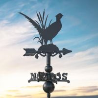 Pheasant on Miniature Weathervane at Dusk