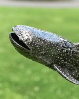 Close up of Recycled Metal Whale Shark head