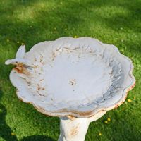 Close-up of the Bird Bath Close-up of the Bird Bath