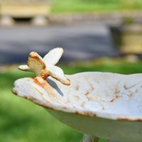Close-up of the Bird on the Top of the Cream Cherub Bird Bath Close-up of the Bird on the Top of the Cream Cherub Bird Bath
