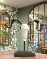 "Helix" Cast Aluminium Ram Skull