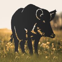 Wild Boar Sheet Steel Silhouette in Black Finish in Situ Wild Boar Sheet Steel Silhouette in Black Finish in Situ