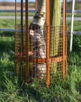 Close up Of The Wire To Prevent Pests